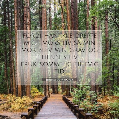Picture 07 - Jeremia 20:17 NORSK - fordi han ikke drepte mig i mors liv, så min mor - Bible Verse Picture