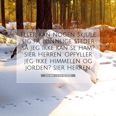 Picture 07 - Jeremia 23:24 NORSK - Eller kan nogen skjule sig på lønnlige steder - Bible Verse Picture