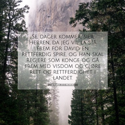 Picture 07 - Jeremia 23:5 NORSK - Se, dager kommer, sier Herren, da jeg vil la stå - Bible Verse Picture