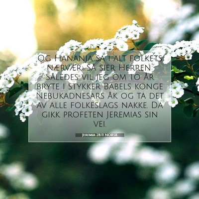 Picture 07 - Jeremia 28:11 NORSK - Og Hananja sa i alt folkets nærvær: Så sier - Bible Verse Picture