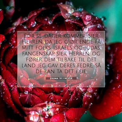 Picture 07 - Jeremia 30:3 NORSK - For se, dager kommer, sier Herren, da jeg gjør - Bible Verse Picture