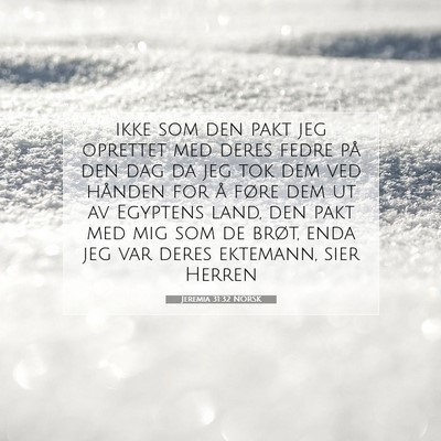 Picture 07 - Jeremia 31:32 NORSK - ikke som den pakt jeg oprettet med deres fedre - Bible Verse Picture
