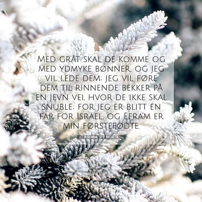 Picture 07 - Jeremia 31:9 NORSK - Med gråt skal de komme og med ydmyke bønner, og - Bible Verse Picture