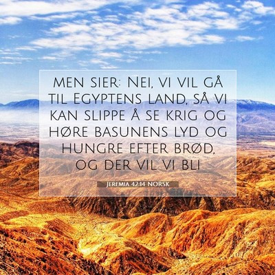 Picture 07 - Jeremia 42:14 NORSK - men sier: Nei, vi vil gå til Egyptens land, så - Bible Verse Picture
