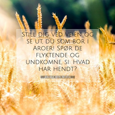 Picture 07 - Jeremia 48:19 NORSK - Still dig ved veien og se ut, du som bor i Aroer! - Bible Verse Picture