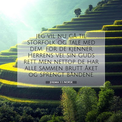 Picture 07 - Jeremia 5:5 NORSK - jeg vil nu gå til storfolk og tale med dem; for - Bible Verse Picture