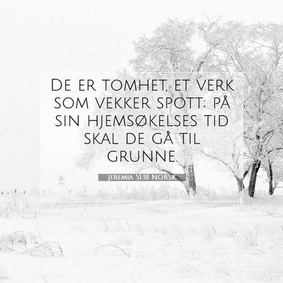 Picture 07 - Jeremia 51:18 NORSK - De er tomhet, et verk som vekker spott; på sin - Bible Verse Picture