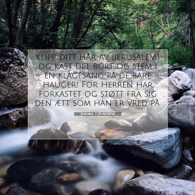 Picture 07 - Jeremia 7:29 NORSK - Klipp ditt hår av {Jerusalem.} og kast det bort - Bible Verse Picture