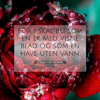 Picture 07 - Jesaja 1:30 NORSK - for I skal bli som en ek med visne blad og som en - Bible Verse Picture