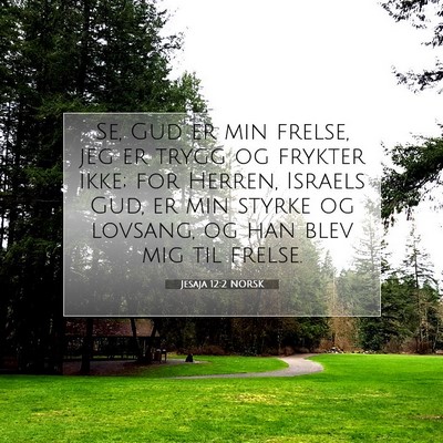 Picture 07 - Jesaja 12:2 NORSK - Se, Gud er min frelse, jeg er trygg og frykter - Bible Verse Picture