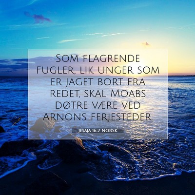 Picture 07 - Jesaja 16:2 NORSK - Som flagrende fugler, lik unger som er jaget bort - Bible Verse Picture