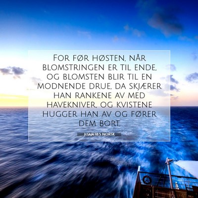 Picture 07 - Jesaja 18:5 NORSK - For før høsten, når blomstringen er til ende, - Bible Verse Picture