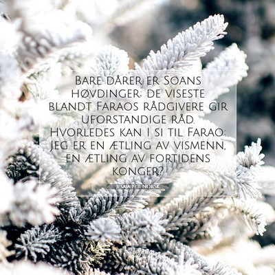 Picture 07 - Jesaja 19:11 NORSK - Bare dårer er Soans høvdinger; de viseste - Bible Verse Picture