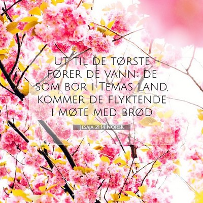 Picture 07 - Jesaja 21:14 NORSK - Ut til de tørste fører de vann; de som bor i - Bible Verse Picture