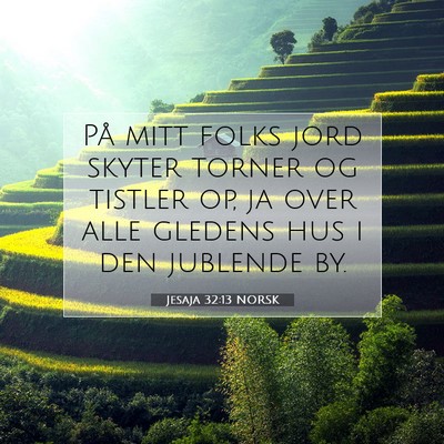 Picture 07 - Jesaja 32:13 NORSK - På mitt folks jord skyter torner og tistler op, - Bible Verse Picture