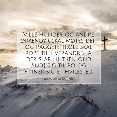 Picture 07 - Jesaja 34:14 NORSK - Ville hunder og andre ørkendyr skal møtes der, - Bible Verse Picture