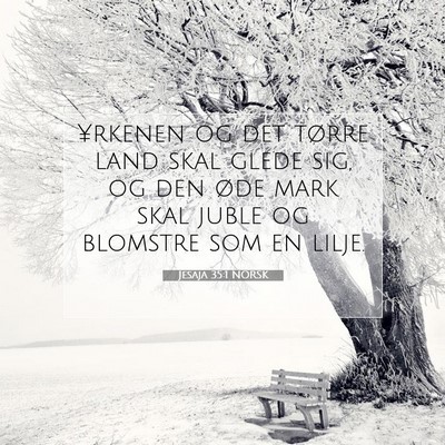 Picture 07 - Jesaja 35:1 NORSK - ¥rkenen og det tørre land skal glede sig, og - Bible Verse Picture