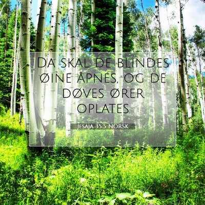 Picture 07 - Jesaja 35:5 NORSK - Da skal de blindes øine åpnes, og de døves - Bible Verse Picture