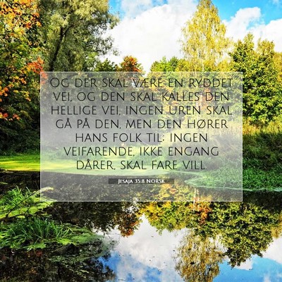 Picture 07 - Jesaja 35:8 NORSK - Og der skal være en ryddet vei, og den skal - Bible Verse Picture