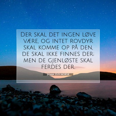 Picture 07 - Jesaja 35:9 NORSK - Der skal det ingen løve være, og intet rovdyr - Bible Verse Picture