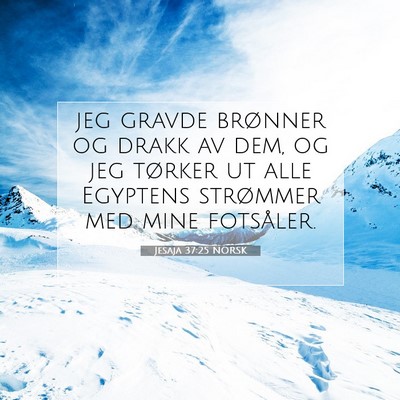 Picture 07 - Jesaja 37:25 NORSK - jeg gravde brønner og drakk av dem, og jeg - Bible Verse Picture