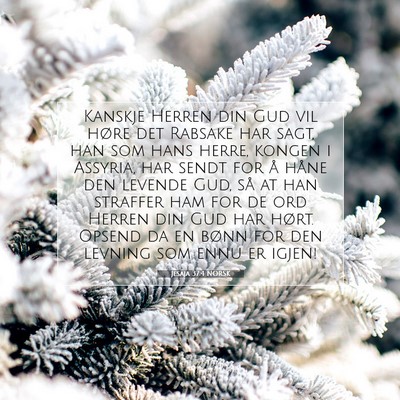 Picture 07 - Jesaja 37:4 NORSK - Kanskje Herren din Gud vil høre det Rabsake har - Bible Verse Picture