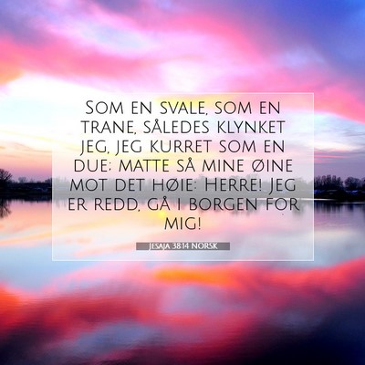 Picture 07 - Jesaja 38:14 NORSK - Som en svale, som en trane, således klynket jeg, - Bible Verse Picture