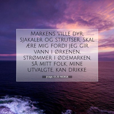Picture 07 - Jesaja 43:20 NORSK - Markens ville dyr, sjakaler og strutser, skal - Bible Verse Picture