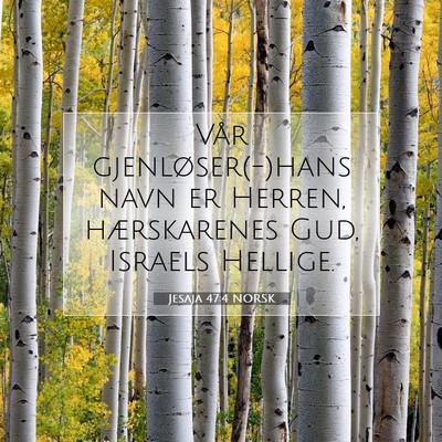 Picture 07 - Jesaja 47:4 NORSK - Vår gjenløser(-)hans navn er Herren, - Bible Verse Picture