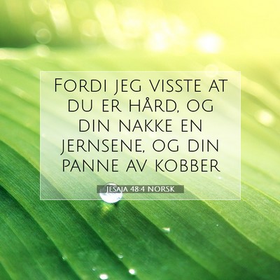 Picture 07 - Jesaja 48:4 NORSK - Fordi jeg visste at du er hård, og din nakke en - Bible Verse Picture
