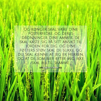Picture 07 - Jesaja 49:23 NORSK - Og konger skal være dine fosterfedre, og deres - Bible Verse Picture