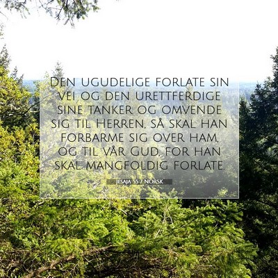 Picture 07 - Jesaja 55:7 NORSK - Den ugudelige forlate sin vei og den urettferdige - Bible Verse Picture