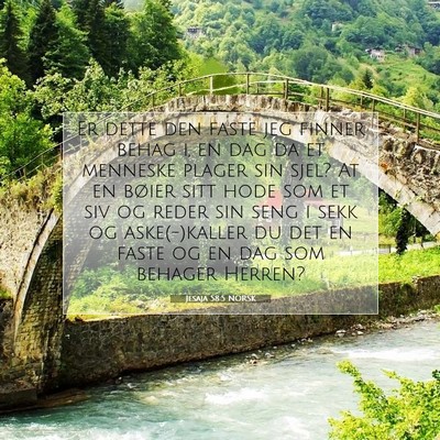 Picture 07 - Jesaja 58:5 NORSK - Er dette den faste jeg finner behag i, en dag da - Bible Verse Picture