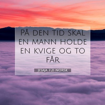 Picture 07 - Jesaja 7:21 NORSK - På den tid skal en mann holde en kvige og to - Bible Verse Picture