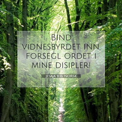 Picture 07 - Jesaja 8:16 NORSK - Bind vidnesbyrdet inn, forsegl ordet i mine - Bible Verse Picture