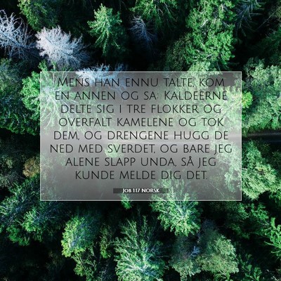 Picture 07 - Job 1:17 NORSK - Mens han ennu talte, kom en annen og sa: - Bible Verse Picture