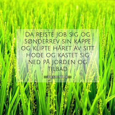 Picture 07 - Job 1:20 NORSK - Da reiste Job sig og sønderrev sin kappe og - Bible Verse Picture