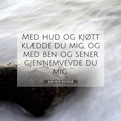 Picture 07 - Job 10:11 NORSK - Med hud og kjøtt klædde du mig, og med ben og - Bible Verse Picture