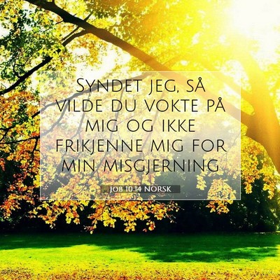 Picture 07 - Job 10:14 NORSK - Syndet jeg, så vilde du vokte på mig og ikke - Bible Verse Picture