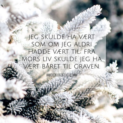 Picture 07 - Job 10:19 NORSK - jeg skulde ha vært som om jeg aldri hadde vært - Bible Verse Picture