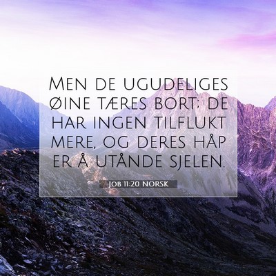 Picture 07 - Job 11:20 NORSK - Men de ugudeliges øine tæres bort; de har ingen - Bible Verse Picture