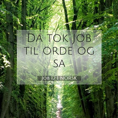 Picture 07 - Job 12:1 NORSK - Da tok Job til orde og - Bible Verse Picture