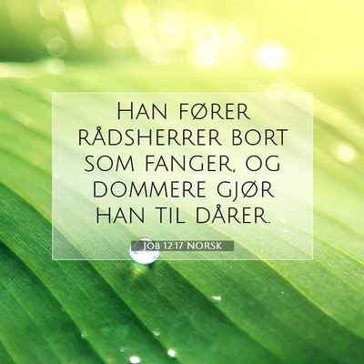 Picture 07 - Job 12:17 NORSK - Han fører rådsherrer bort som fanger, og - Bible Verse Picture