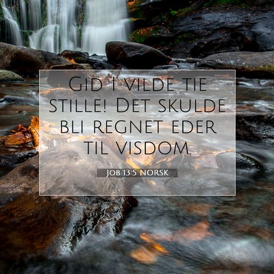 Picture 07 - Job 13:5 NORSK - Gid I vilde tie stille! Det skulde bli regnet - Bible Verse Picture