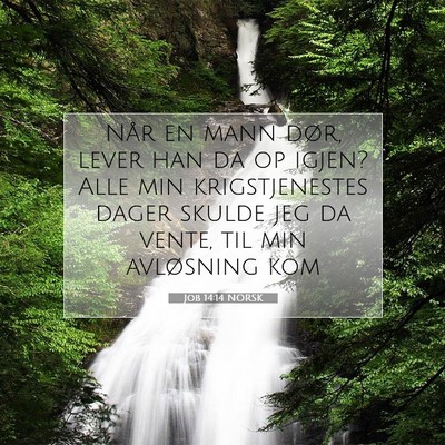 Picture 07 - Job 14:14 NORSK - Når en mann dør, lever han da op igjen? Alle - Bible Verse Picture