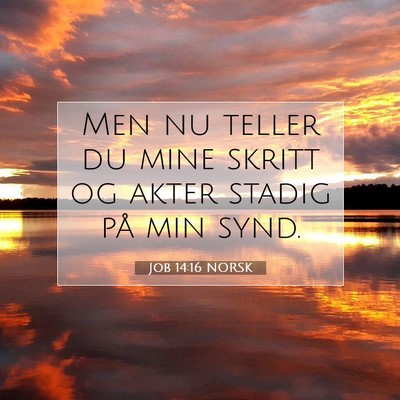 Picture 07 - Job 14:16 NORSK - Men nu teller du mine skritt og akter stadig på - Bible Verse Picture