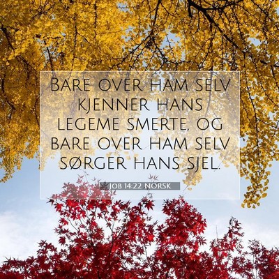 Picture 07 - Job 14:22 NORSK - Bare over ham selv kjenner hans legeme smerte, og - Bible Verse Picture