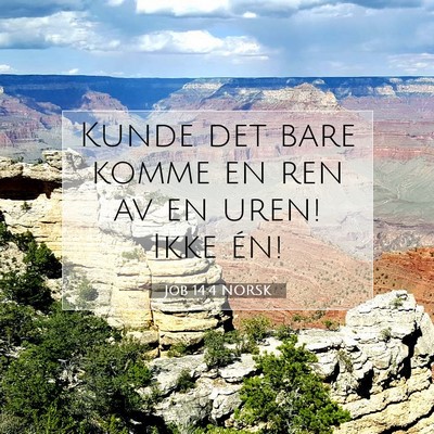 Picture 07 - Job 14:4 NORSK - Kunde det bare komme en ren av en uren! Ikke - Bible Verse Picture