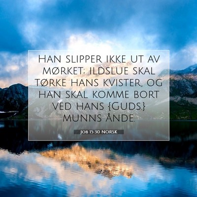 Picture 07 - Job 15:30 NORSK - Han slipper ikke ut av mørket; ildslue skal - Bible Verse Picture