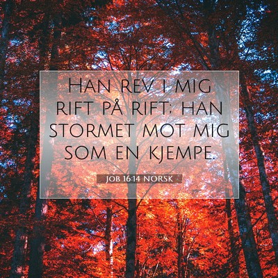 Picture 07 - Job 16:14 NORSK - Han rev i mig rift på rift; han stormet mot mig - Bible Verse Picture